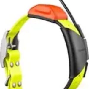 T 5X Dog Collar