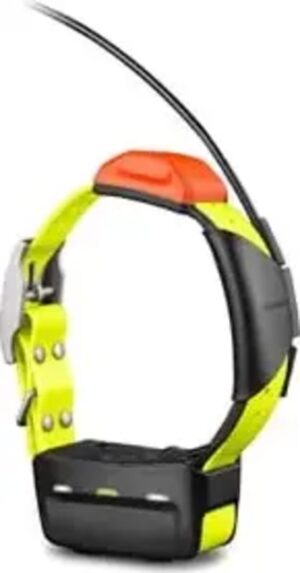T 5X Dog Collar