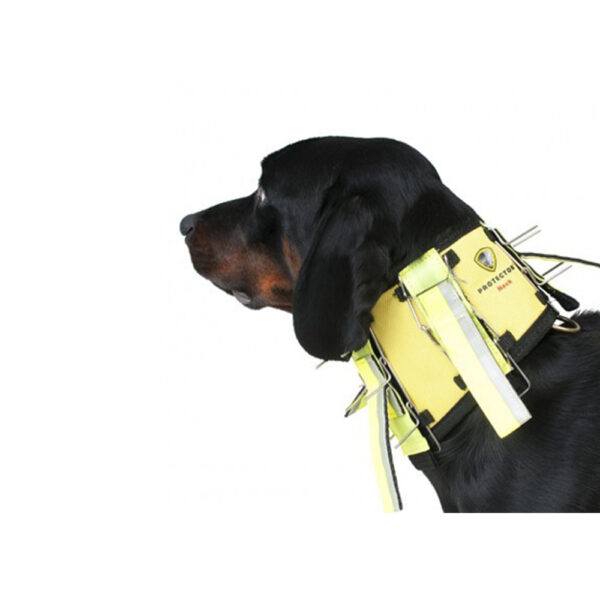 Dogtech Neck halsband